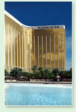 art - mandalay bay casino and resort - las vegas